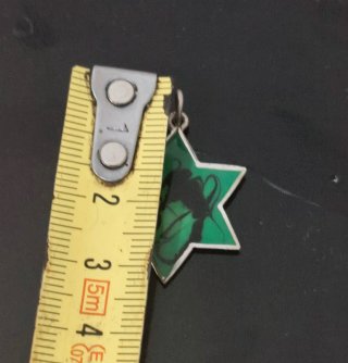 Colgante Estrella de David plata
