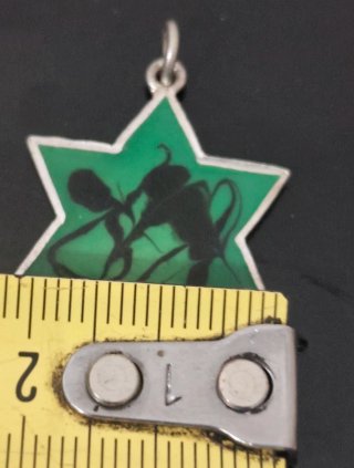 Colgante Estrella de David plata