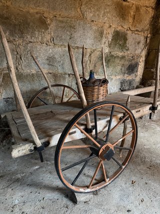 Carro de vacas antiguo