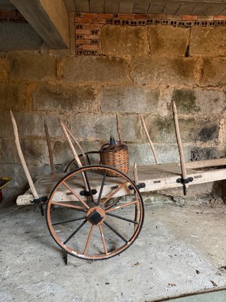 Carro de vacas antiguo