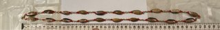 Bracciale/Collana Vintage Conchiglie Ciprea