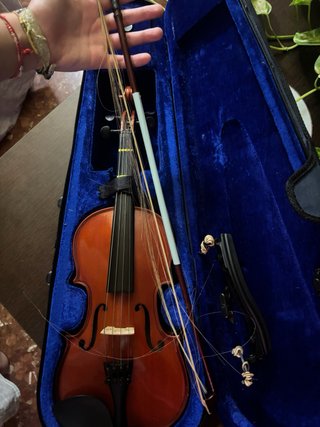 Viola pequeña