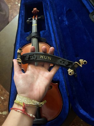 Viola pequeña