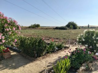 Finca Rústica en Aspariegos (Zamora)