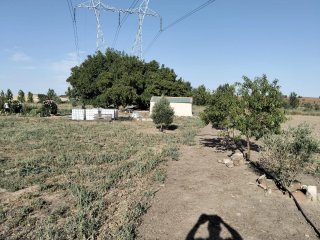 Finca Rústica en Aspariegos (Zamora)