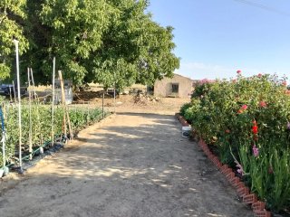 Finca Rústica en Aspariegos (Zamora)