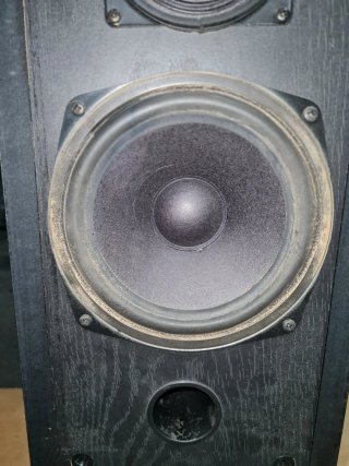 Altavoz Schneider TEAM 28.5 CD-SL