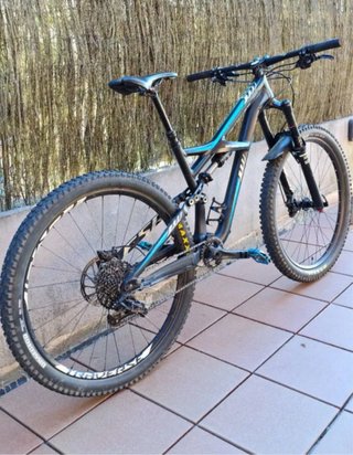Specialized Enduro Elite 29’