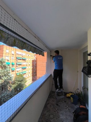 Manitas Profesional - Disponibilidad Inmediata