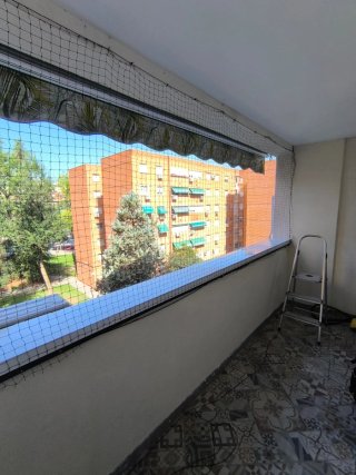 Manitas Profesional - Disponibilidad Inmediata