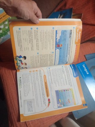 3 libros de lengua de 3 trimestres 3° primaria