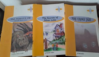 Libros LECTURA INGLES colegio escolar reading