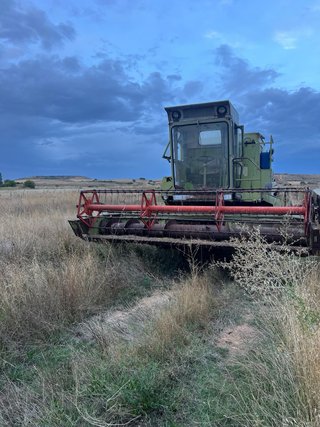 Cosechadora Claas Dominator 87