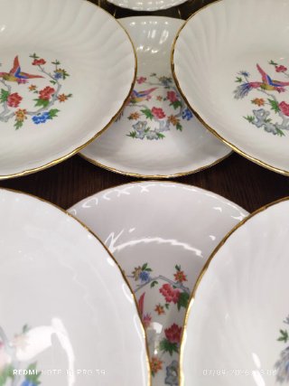 Platos AVE DEL PARAISO porcelana Francesa