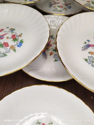 Platos AVE DEL PARAISO porcelana Francesa