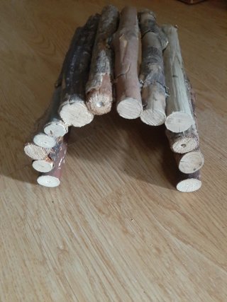 Puente de madera para mascotas