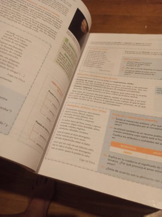 Lengua castellana y literatura