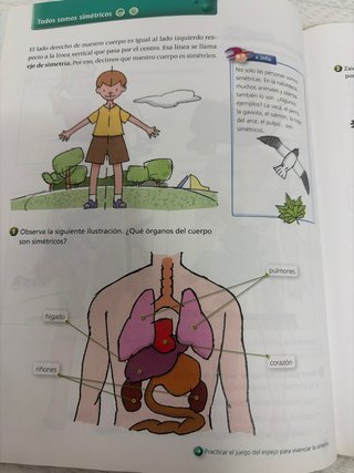 Educación Física 3o Primaria