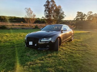 Audi A5 2008