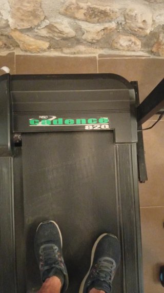 Cinta de correr Endurance B20