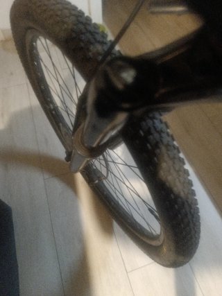 Bicicleta Orbea Profesional