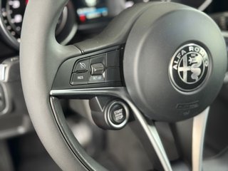 Alfa Romeo Giulia 2.0 Gasolina 147kW (200CV) Giulia AT