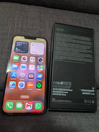 iPhone 13 Pro Max 256GB Gris
