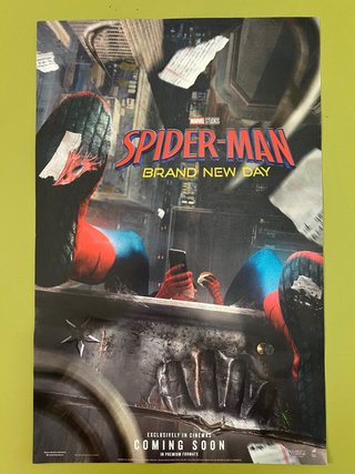 Póster Spider-Man Brand New Day