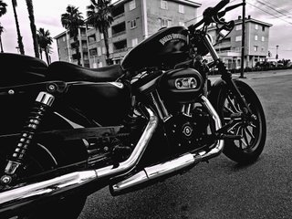 Harley Sportster XL883 Iron Negra