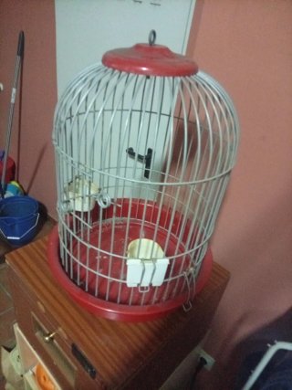 Jaula para loro redonda