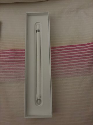 Apple Pencil para iPad