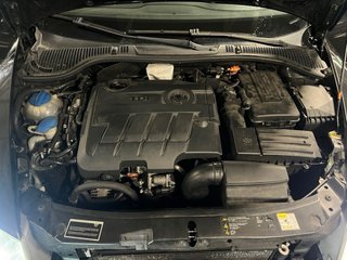 Skoda Octavia RS 2008 dpf