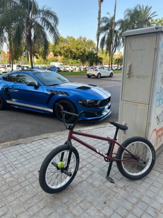 Bmx Street