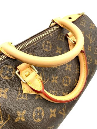 Louis Vuitton Speedy 30 Monogram