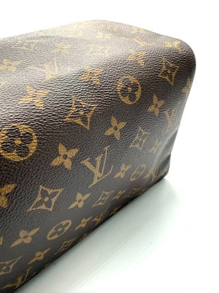 Louis Vuitton Speedy 30 Monogram