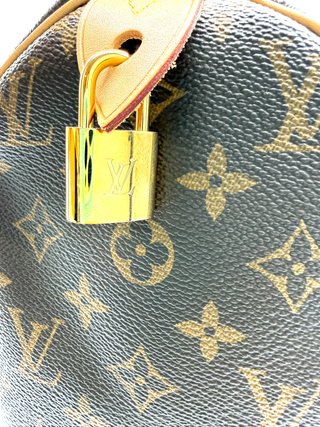 Louis Vuitton Speedy 30 Monogram