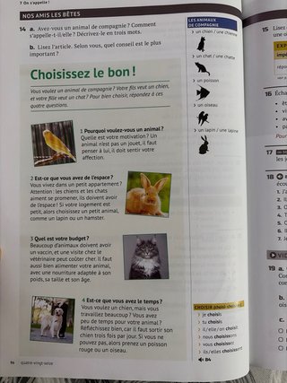 Libro de aprendizaje del francés nivel A1