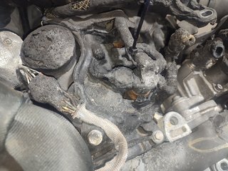 DESPIECE MOTOR DACIA SANDERO SL AuDacia | 03.15 -