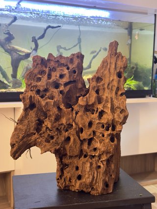 Tronco real Decorativo para Acuario/Pecera
