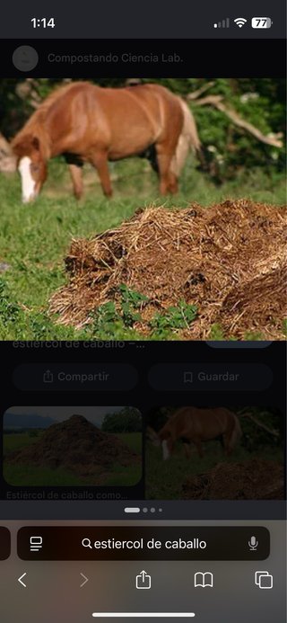Regalo Estiércol de caballo para compostaje, abono
