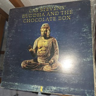 Vinilo Genesis A Trick of the Tail 10€ Cada uno