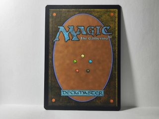Carte Foil Complete di Magic the Gathering