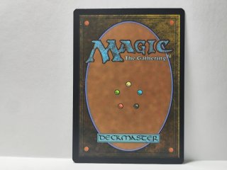 Carte Foil Complete di Magic the Gathering