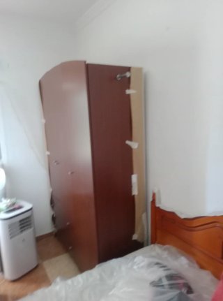 Servicios de jardinería, poda y pintura