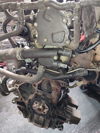 MOTOR COMPLETO SEAT IBIZA (6L1) 1.4 TDI CAT (BNM)