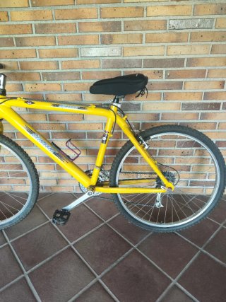 Bicicleta de Montaña