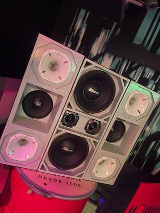 Estructuras de altavoces para coche