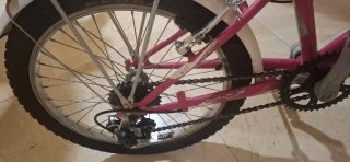 Bicicleta infantil 20 Salper