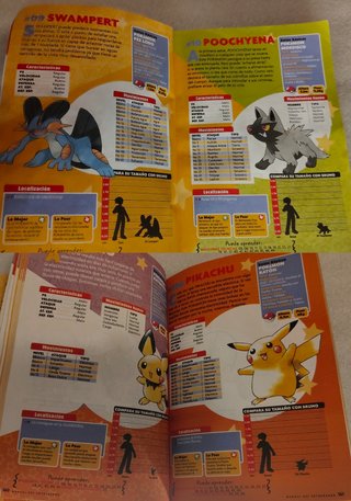 🇪🇸 Manual Entrenador Pokémon Rubí Zafiro