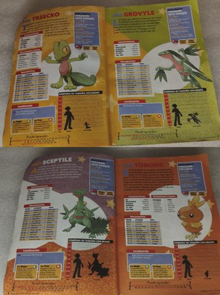 🇪🇸 Manual Entrenador Pokémon Rubí Zafiro